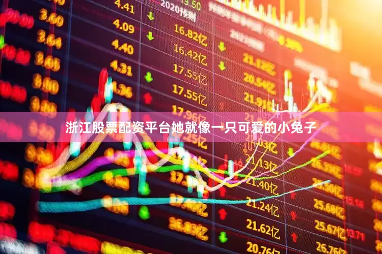 浙江股票配资平台她就像一只可爱的小兔子