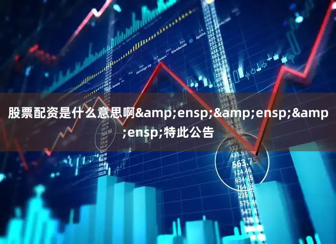 股票配资是什么意思啊   特此公告